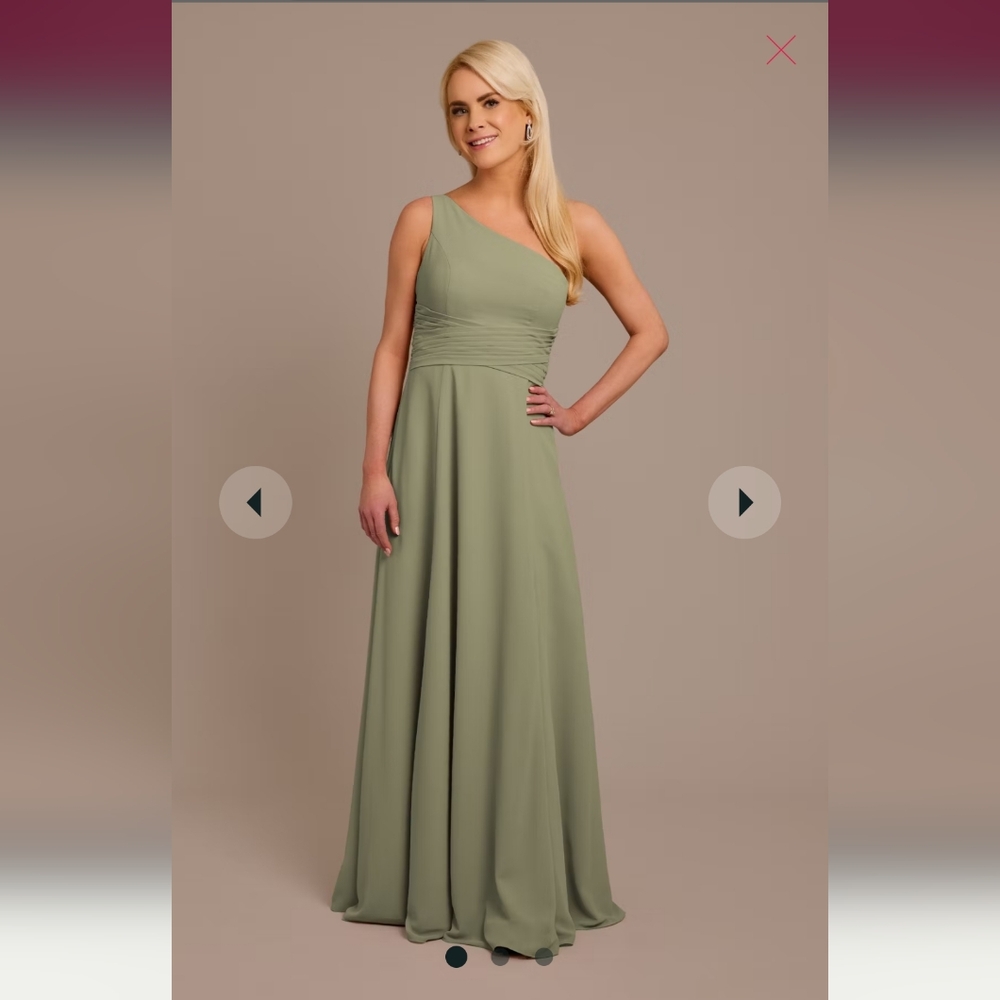 Chiffon One-Shoulder Bridesmaid's Dress with Tie from David's bridal